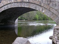 Looking under the Bridge Wallpaper