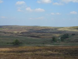 Near Leek, Staffordshire Wallpaper