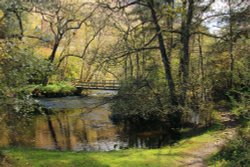 Pastoral landscape  at Loch Ard Wallpaper