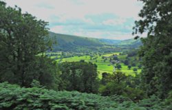 Wharfedale from Todds wood Wallpaper