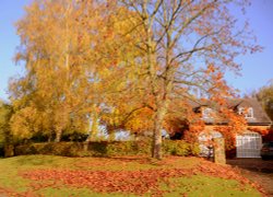 Newnham in Autumn Wallpaper