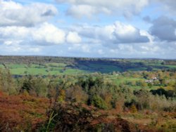 Blackborough Common Wallpaper