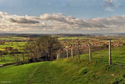 North Dorset Trailway Wallpaper