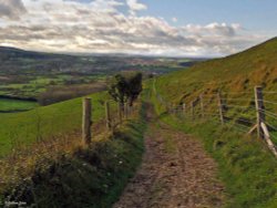 North Dorset Trailway Wallpaper