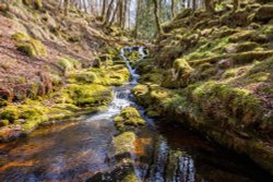 Venford Brook, Dartmoor National Park Wallpaper