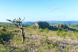 Greator Rocks - Dartmoor National Park Wallpaper