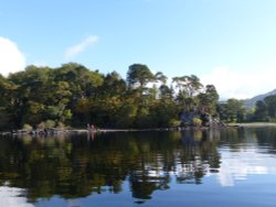 Friars Crag Derwentwater Wallpaper