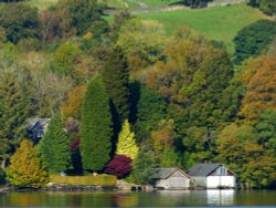 Windermere autumn colours Wallpaper