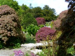 Sizergh Castle gardens Wallpaper