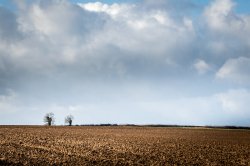 Arable field to the west of Thorpe Salvin Wallpaper