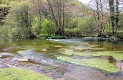 Lovely walking trail along water and green at Monsal Head Wallpaper