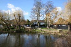 Ruislip duck pond Wallpaper