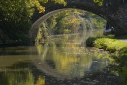 The Oxford Canal at Wolvercote, Oxford Wallpaper