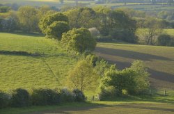 Evening Sun on Fields at North Aston, Oxfordshire Wallpaper