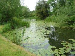 Disused upper arm at Foxton Locks Wallpaper