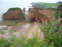 View of Ladram Bay from SW Coastal Path west of Sidmouth Wallpaper