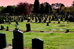 Kingsthorpe Cemetery, Northampton Wallpaper