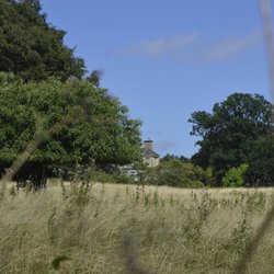 Looking towards Bourton Hall Wallpaper