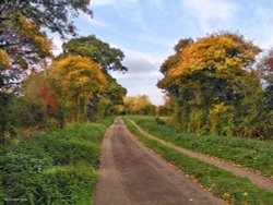 Srour valley Autumn Wallpaper