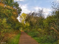 Stour Valley Autumn Wallpaper