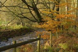 Upland Stream, The Peak District, Cheshire Wallpaper