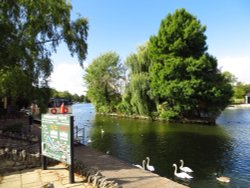 Pastoral promenade along river Thames at picturesque Windsor Wallpaper