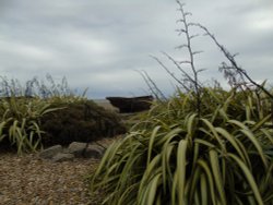 Worthing Beach Wallpaper