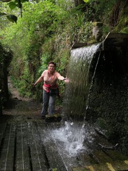 Kennall Vale Nature Reserve