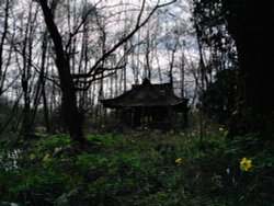 Decayed & Creepy in the woods - Lynford Arboretum Wallpaper