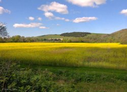 Hambledon, The North Dorset Trailway. Wallpaper