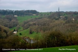 Ozleworth Valley, nr Tresham, Gloucestershire 2017 Wallpaper