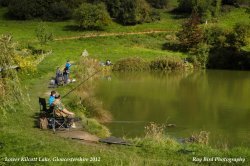 Fishing, Farm Lake, Lower Kilcott, Gloucestershire 2012 Wallpaper