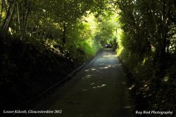 Lane into Lower Kilcott, Gloucestershire 2012 Wallpaper