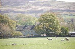 Stanhope, Weardale Wallpaper