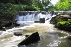 Hoghton Bottoms waterfall Wallpaper