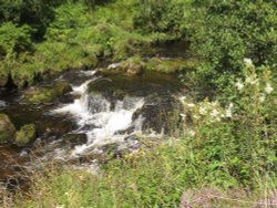 Tarras Water, near Langholm Wallpaper