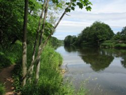 The River Eden near Wetheral Wallpaper