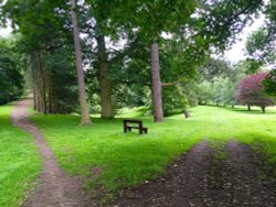 Which way to go? Bishops Park, Bishop Auckland. Wallpaper