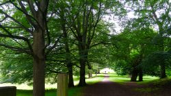 Long Pathway, Bishops Park, Bishop Auckland. Wallpaper