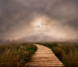 Path to Pooley Bridge Cumbria Wallpaper