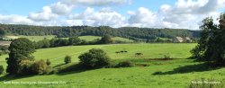 North Nibley Countryside, Gloucestershire 2015 Wallpaper