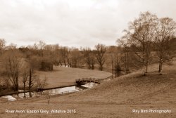 River Avon, Easton Grey, Wiltshire 2015 Wallpaper