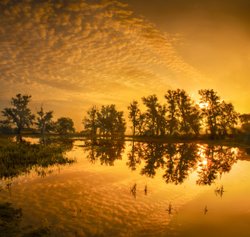 Sunrise over Flooded Crayford Marshes Wallpaper