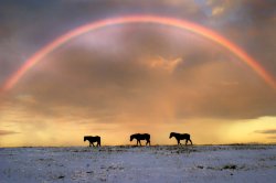 Winter Rainbow over the Crayford Marshes Wallpaper