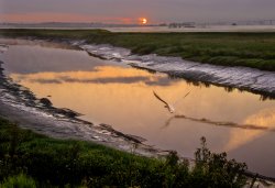 Taken off on the river Darent Wallpaper