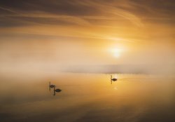 Golden Sunrise over the River Darent Wallpaper