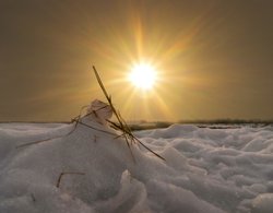 Winters Sunburst over the Ctayford Marshes Wallpaper