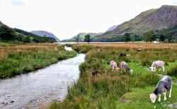 Warnscale Beck flowing into Buttermere Wallpaper