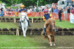 Pony Racing, Castle Combe Steam Rally & Country Fair, Wiltshire 2016
