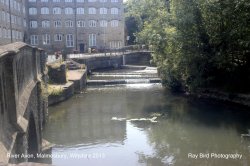 River Avon, Malmesbury, Wiltshire 2013 Wallpaper